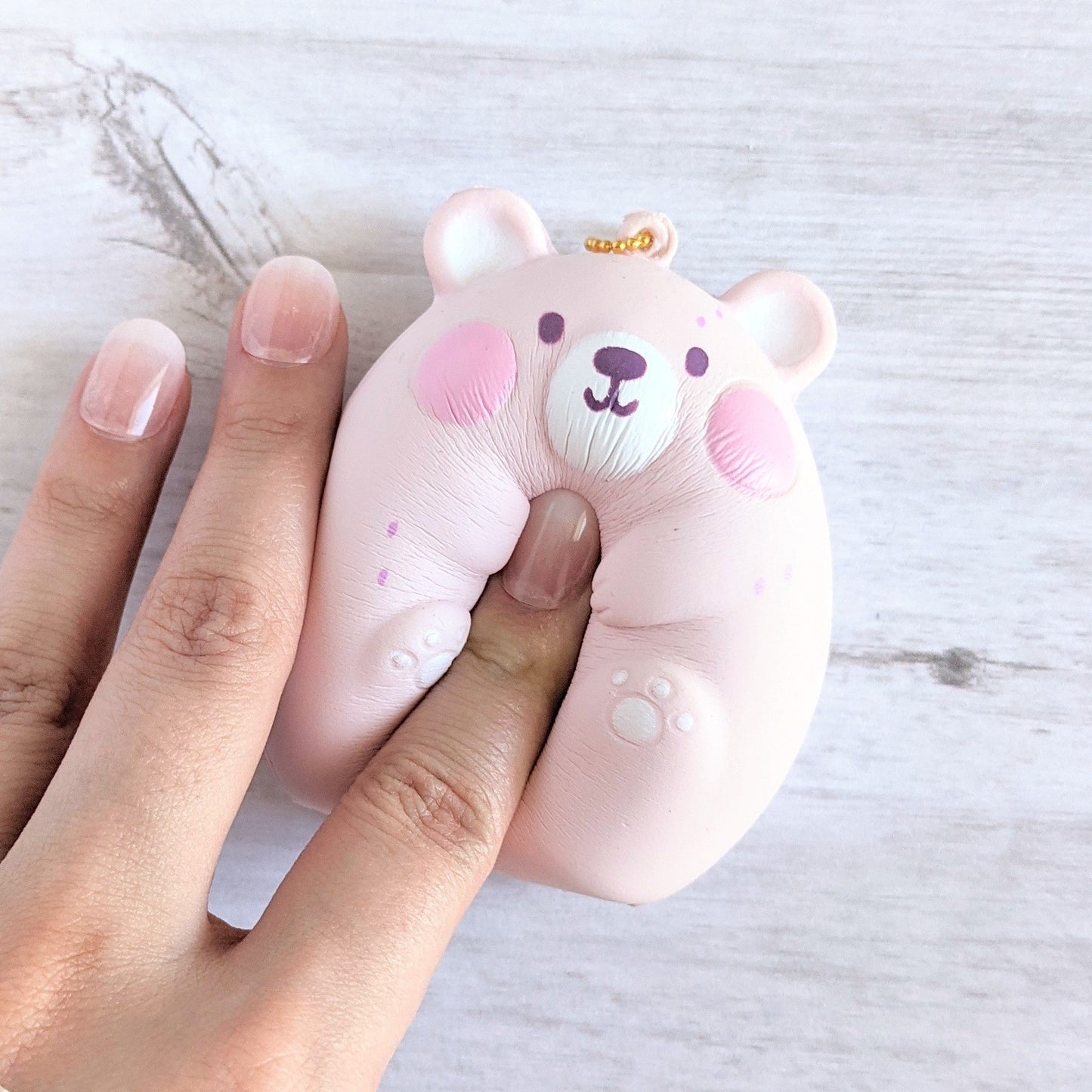 Ruka the Wishing Bear Squishy