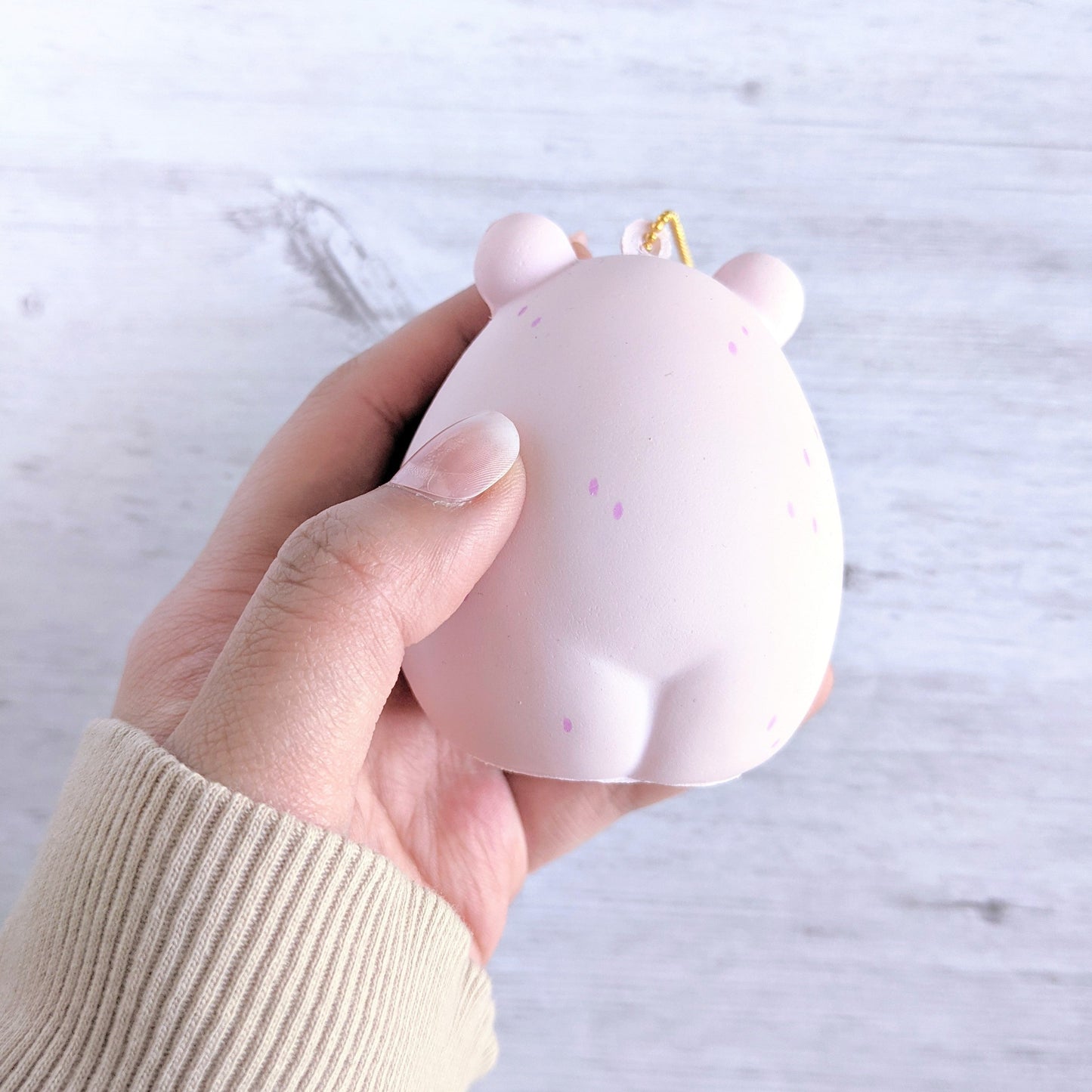 Ruka the Wishing Bear Squishy