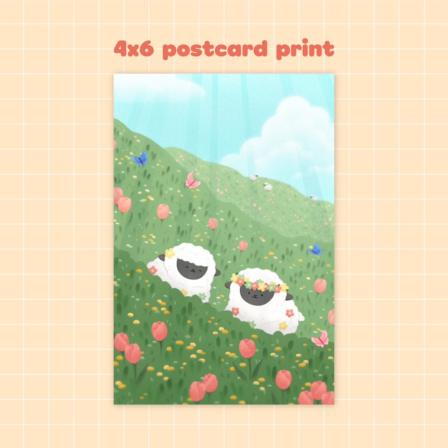 Monthly Mail Club