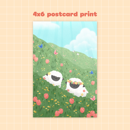 Monthly Mail Club