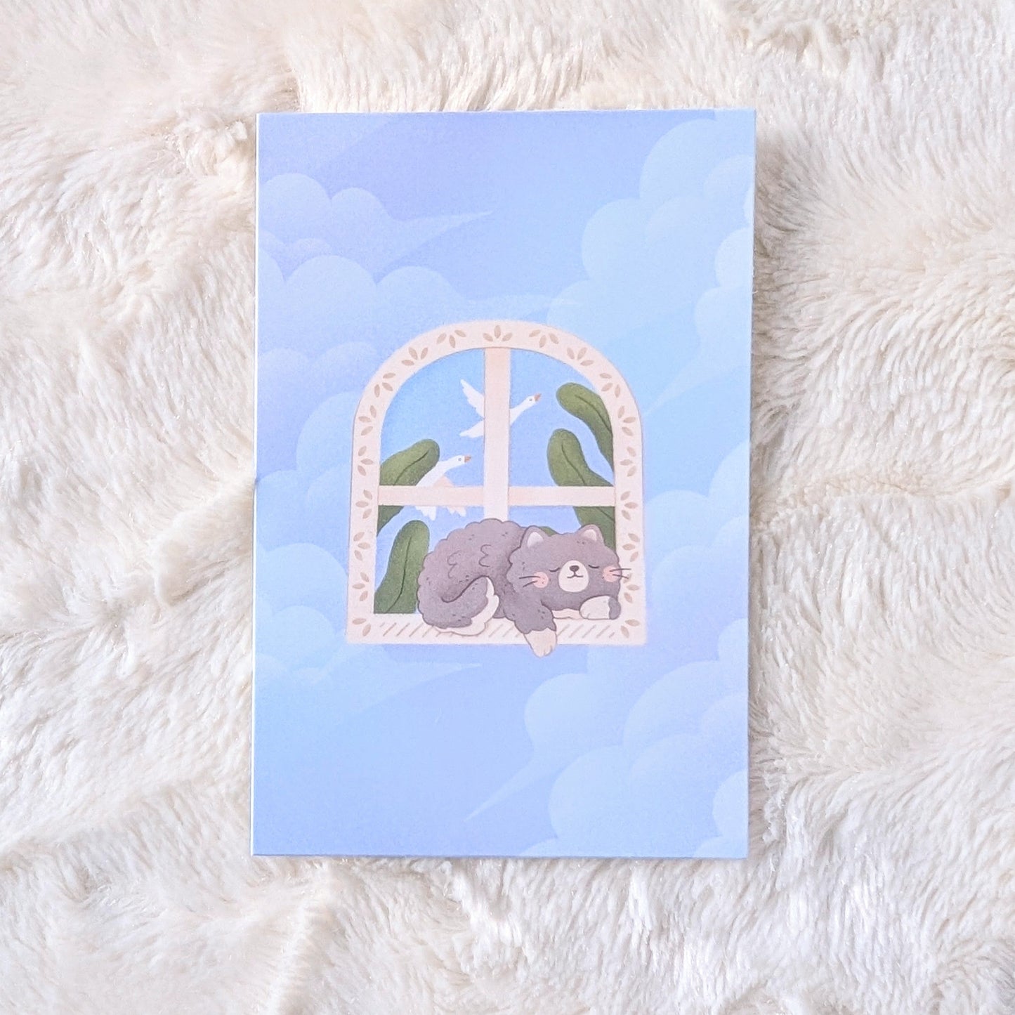 Dream Window Postcard