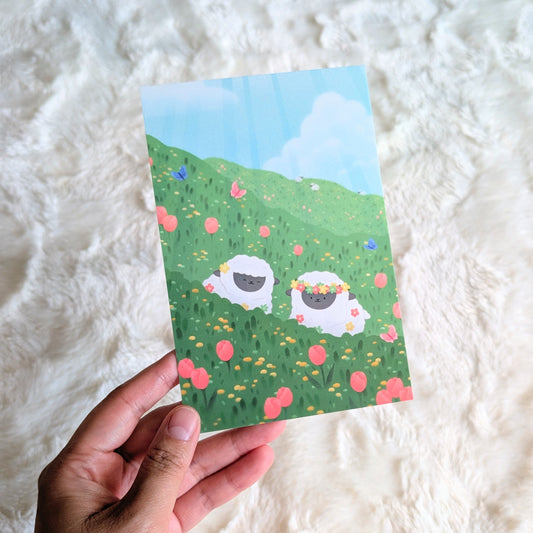 Softest Field Postcard