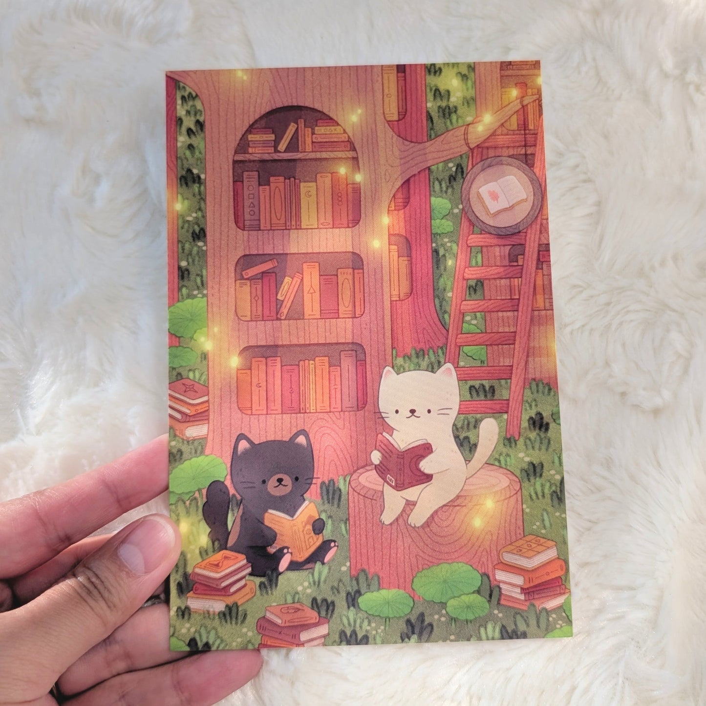 Secret Library Postcard