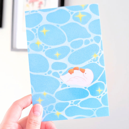 Floating Goose Postcard