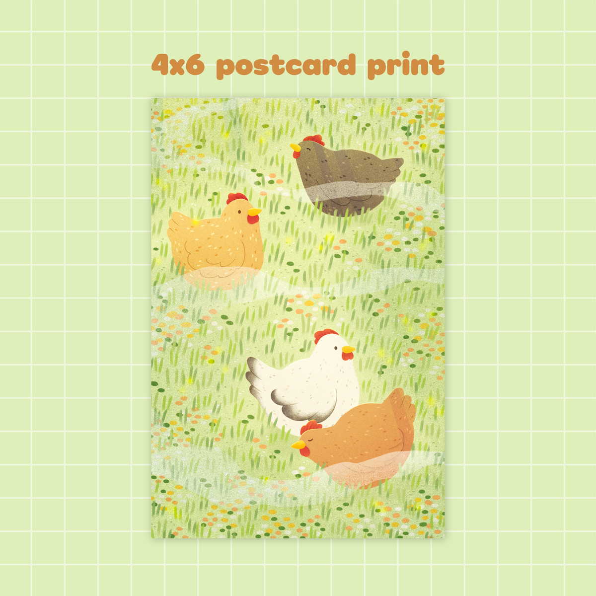 Monthly Mail Club