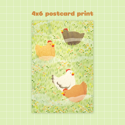 Monthly Mail Club
